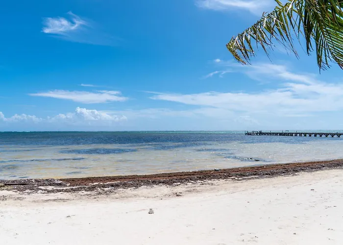 Residences At Barrier Reef Casita 3 By Floreo * San Pedro (Ambergris Caye)